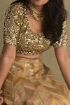 Priyanka Raajiv_Gold Silk Embroidery Round Sequin Hand Blouse _Online_at_Aza_Fashions