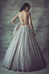 Shop_Vvani by Vani Vats_Grey Net Asymmetric Embroidered One Shoulder Lehenga Set_at_Aza_Fashions