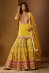 Shop_Moledro_Yellow Modal Satin Dupatta Butterfly Net Embellished Khwaish Sharara Set _Online_at_Aza_Fashions