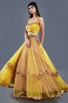 Divya Kanakia Yellow Net And Raw Silk Beads & Thread, Patola Print, Sequin Square Lehenga Set Online at Aza Fashions Divya Kanakia_Yellow Net And Raw Silk Beads & Thread, Patola Print, Sequin Square Lehenga Set _Online_at_Aza_Fashions
