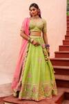 Buy_House of Dasmaya_Green Raw , Organza, Lining Shantoon Embroidered Bridal Lehenga Set _at_Aza_Fashions