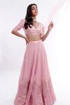 Komal Shah_Pink Lehenga Chanderi Blouse And Dupatta Organza Striped Plunge V Hoor Set_Online_at_Aza_Fashions