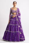 Vvani By Vani Vats_Purple Lehenga And Blouse Georgette Dupatta  Net Multi Tiered Embroidered Set _at_Aza_Fashions