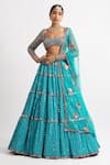 Shop_Vvani by Vani Vats_Green Lehenga And Blouse Georgette Dupatta  Net Lining Tiered Mirror Set _Online_at_Aza_Fashions