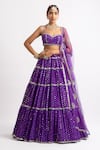 Vvani by Vani Vats_Purple Lehenga And Blouse Georgette Dupatta  Net Noodle Strap & Tiered Set _Online_at_Aza_Fashions