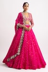 Vvani by Vani Vats_Pink Lehenga And Dupatta Organza Blouse Georgette Lining  Set With Mirror_Online_at_Aza_Fashions