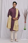 Ekam By Manish_Gold Geometric Chanderi Banarasi Brocade Stole _Online_at_Aza_Fashions