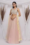 Buy_Ekta Singh_Pink Net Embroidered Floral Motifs Leaf Neck Lehenga Set With Ruffle Dupatta _at_Aza_Fashions