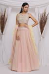 Ekta Singh_Pink Net Embroidered Floral Motifs Leaf Neck Lehenga Set With Ruffle Dupatta _Online_at_Aza_Fashions