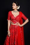 Archana Kochhar_Red Lehenga And Blouse Raw Silk Dupatta Net Shimmering Rouge Bridal Set _Online_at_Aza_Fashions