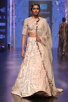 Buy_Payal Singhal_Grey Velvet Embroidery Round Larisa Bridal Lehenga Set _Online_at_Aza_Fashions