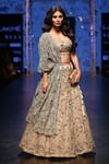 Payal Singhal_Grey Organza Peacock Mouni One Side Jacket Lehenga Set _Online_at_Aza_Fashions