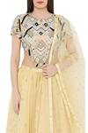 Shop_Payal Singhal_Yellow Crepe Embroidered Mukaish Round Panelled Lehenga Set _Online_at_Aza_Fashions