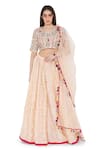 Buy_Payal Singhal_Peach Georgette Embroidered Mukaish Round Panelled Lehenga Set _at_Aza_Fashions