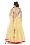 Shop_Payal Singhal_Yellow Georgette Embroidered Mukaish Round Panelled Lehenga Set _at_Aza_Fashions