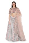 Buy_Payal Singhal_Grey Crepe Printed Ikat Stripe Round Lehenga Set_at_Aza_Fashions