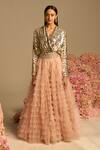 Not So Serious By Pallavi Mohan_Pink Tulle Plain Lucius Frill Skirt _Online_at_Aza_Fashions