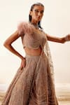 Shop_Adaara Couture_Pink Net, Bamber Silk, Brocade Organza Fairy Dream Embroidered Top And Lehenga Set _Online_at_Aza_Fashions