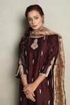 Shop_Falguni.Foram_Brown Kurta Dupion Silk, Pant Viscose Thread And Sequin Embroidered & Set _at_Aza_Fashions