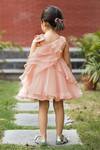 Shop BA BA Baby Clothing CO Pink Viscose Organza Embroidered Sleeping Beauty Ruffle Dress at Aza Fashions Shop_BA BA Baby Clothing CO_Pink Viscose Organza Embroidered Sleeping Beauty Ruffle Dress_at_Aza_Fashions