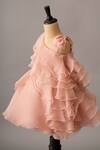 Buy BA BA Baby Clothing CO Pink Viscose Organza Embroidered Sleeping Beauty Ruffle Dress Online at Aza Fashions Buy_BA BA Baby Clothing CO_Pink Viscose Organza Embroidered Sleeping Beauty Ruffle Dress_Online_at_Aza_Fashions