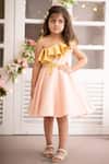 Buy_BA BA Baby Clothing CO_Pink Satin Embroidered Daisy One Shoulder Ruffle Dress_at_Aza_Fashions