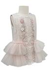 Jasmine And Alaia_Pink Tulle Embroidered Bead Work Amelia Dress_Online_at_Aza_Fashions