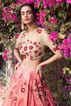 Incheetape_Red Net Embroidered Floral Motifs Round Blouse And Lehenga Set _Online_at_Aza_Fashions