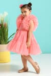 Buy_Free Sparrow_Pink Tulle Embroidered Ruffles Carnation Sleeve Dress _Online_at_Aza_Fashions