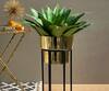 Shop_Mason Home_Brooklyn Planters (Set of 2)_at_Aza_Fashions