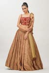 Shruti S_Beige Lehenga Silkcholi  Silkdupatta  Organza Cutdana Work, Hand Silk Set_Online_at_Aza_Fashions