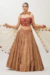 Buy_Shruti S_Beige Lehenga Silkcholi  Silkdupatta  Organza Cutdana Work, Hand Silk Set_Online_at_Aza_Fashions