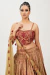Shruti S_Beige Lehenga Silkcholi  Silkdupatta  Organza Cutdana Work, Hand Silk Set_at_Aza_Fashions