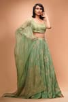 Buy_Shruti S_Green Dupatta Organza, Lehenga And Blouse Silk Umbrella Motifs Square Print Set_at_Aza_Fashions