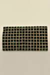 Buy Alor Bags Green Crystals Makhmali Envelope Clutch Online at Aza Fashions Buy_Alor Bags_Green Crystals Makhmali Envelope Clutch _Online_at_Aza_Fashions