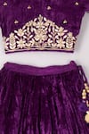 P & S Co_Purple Velvet Embroidered Sequins Choli And Lehenga Set _Online_at_Aza_Fashions