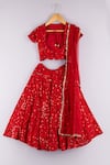 Shop_P & S Co_Floral Embroidered Lehenga Set For Girls_at_Aza_Fashions