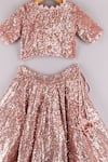 P & S CO_Pink Georgette Sequin Work Lehenga And Choli Set_Online_at_Aza_Fashions
