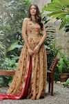 Buy_Roze_Beige Organza Printed Floral Round Imli Lehenga Set _at_Aza_Fashions