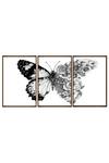 Shop_The Art House_Multi Color Canvas Digital Print Butterfly Painting Set Of 3 _at_Aza_Fashions