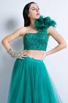 Buy_Sonaakshi Raaj_Blue Swiss Net Skirt With Embroidered Blouse_Online_at_Aza_Fashions