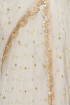 Shop_Priti Sahni_White Blouse  Raw Silk, Saree  Tulle Sequin Work Plunge V Embroidered With _Online_at_Aza_Fashions