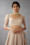 Shop_Torani_Blue Lehenga Butterfly Net Embroidered Dori Work Samsara Hansini Bridal Set _Online_at_Aza_Fashions