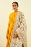 Sheetal Batra_White Raw Silk Tilla Embroidered Dupatta _Online_at_Aza_Fashions