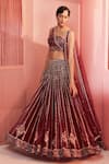 Buy_Label Sanya Gulati_Maroon Net Lining Shantoon Cutdana, Multi Shape Embroidered Lehenga Set _at_Aza_Fashions