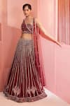 Buy_Label Sanya Gulati_Maroon Net Lining Shantoon Cutdana, Multi Shape Embroidered Lehenga Set _Online_at_Aza_Fashions