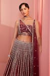 Shop_Label Sanya Gulati_Maroon Net Lining Shantoon Cutdana, Multi Shape Embroidered Lehenga Set _Online_at_Aza_Fashions