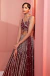 Shop_Label Sanya Gulati_Maroon Net Lining Shantoon Cutdana, Multi Shape Embroidered Lehenga Set _at_Aza_Fashions