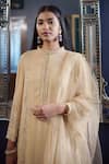 Buy_SHASHA GABA_Gold Shimmer Georgette Embroidery Dabka Mandarin Kurta Skirt Set _Online_at_Aza_Fashions
