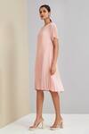 Shop_Scarlet Sage_Pink 100% Polyester Plain Round Pleated Dress_Online_at_Aza_Fashions
